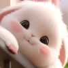 eman70957