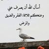user68348723184080