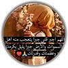 user7925818251769