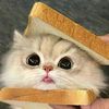 notashleeyy0