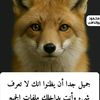user8707863176006