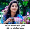 dinu8353