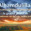 wali.midoun