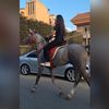 zeina_ismail6