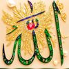 nomi_dogar05