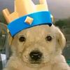 royalclash50