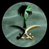 sallah.elnajjar