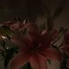 estherr_6777777