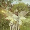 softly_broken_4