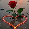 elnurun__zuleyxasi.041_