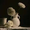 🌹⚚𝖉𝖆𝖗𝖐ꪜ𝖎𝖇𝖊𝖘⚚🌹
