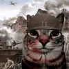 arewecat