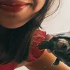 flora_florinha_tartaruga