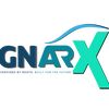 gnarxlife