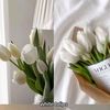 htet.lay0880