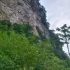 vng.phu177