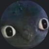 TaiwanPingLord