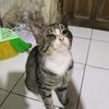 rizky.cs1