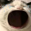 missnamdinh