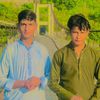 maaz.jani6231