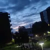 shahadkim10