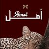 user147257014