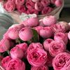 loul_1712