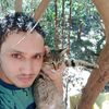 cat2000f