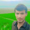 dilbar.ali.bughio2