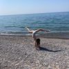 aves_032