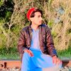 malik.sharyar810