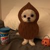 clovy_1u
