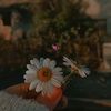 pluviophile1214