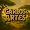 carlosartes12