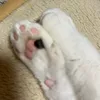 youmejbgfrn