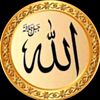 user8144027320856