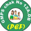 GMPS 12 ADB (PEF)
