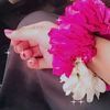 bebo2699