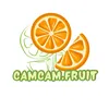 camcam.FRUIT