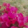 najwa_almhmmad