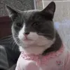 bpsavedme07