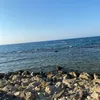 zaik.ali06