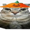 pumpk1nz1