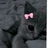 user93052720074696