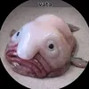 maleekback