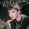 audrey hepburn