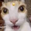 ammygomez3