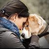 WaggingToSafety