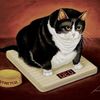 fatcatproductions8