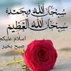 user710950603